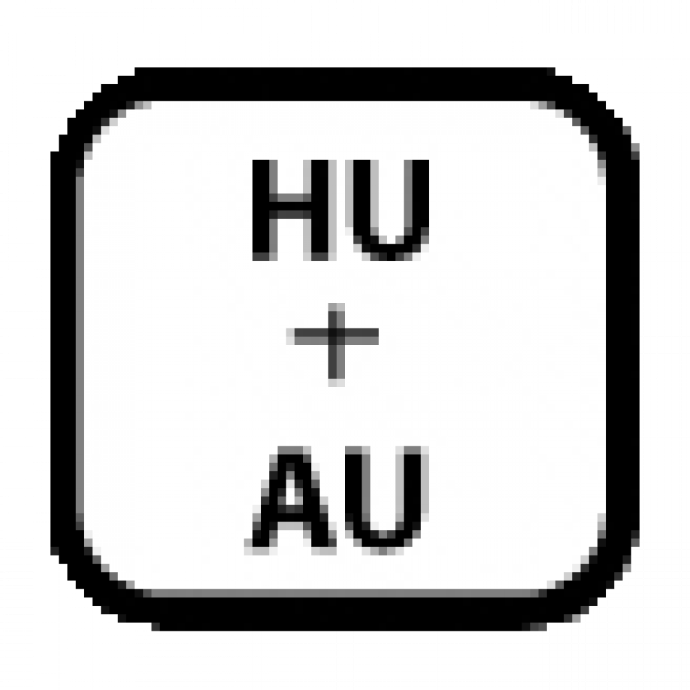 Hauptuntersuchung und Abgasuntersuchung